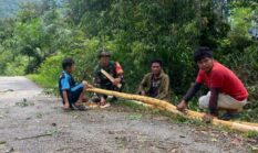 berita-pilihan-foto